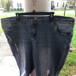 Woman Within Jean Capri